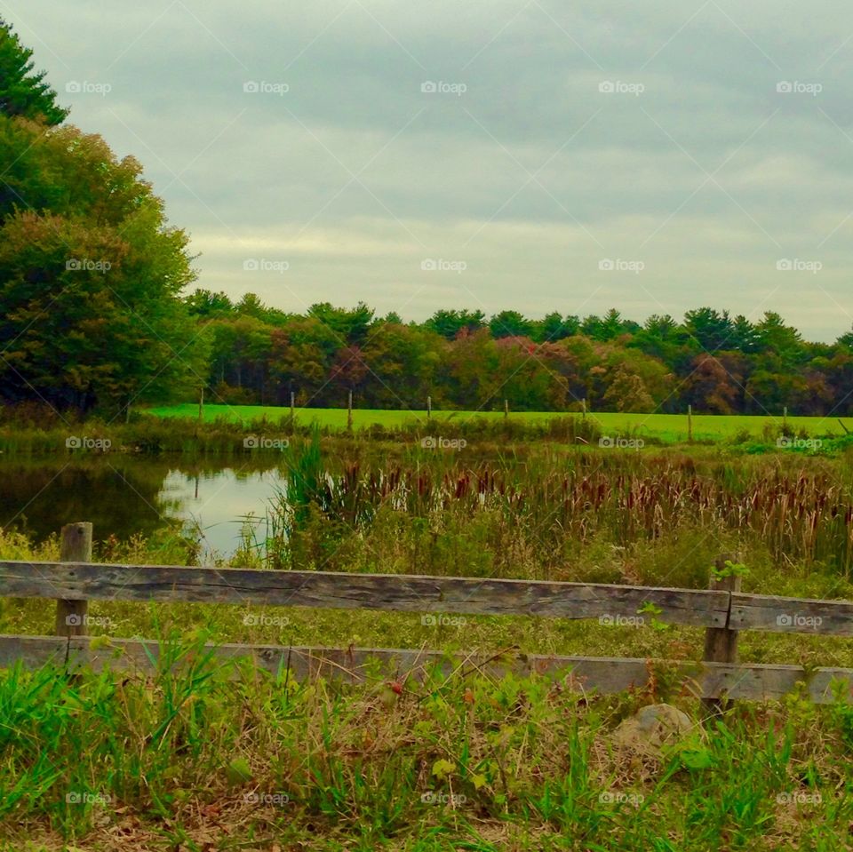 Reflecting Greener Pastures