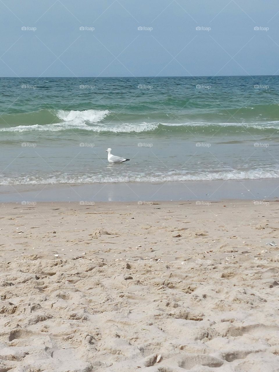 Meer, an der Nordsee, Wyk ,Insel Föhr