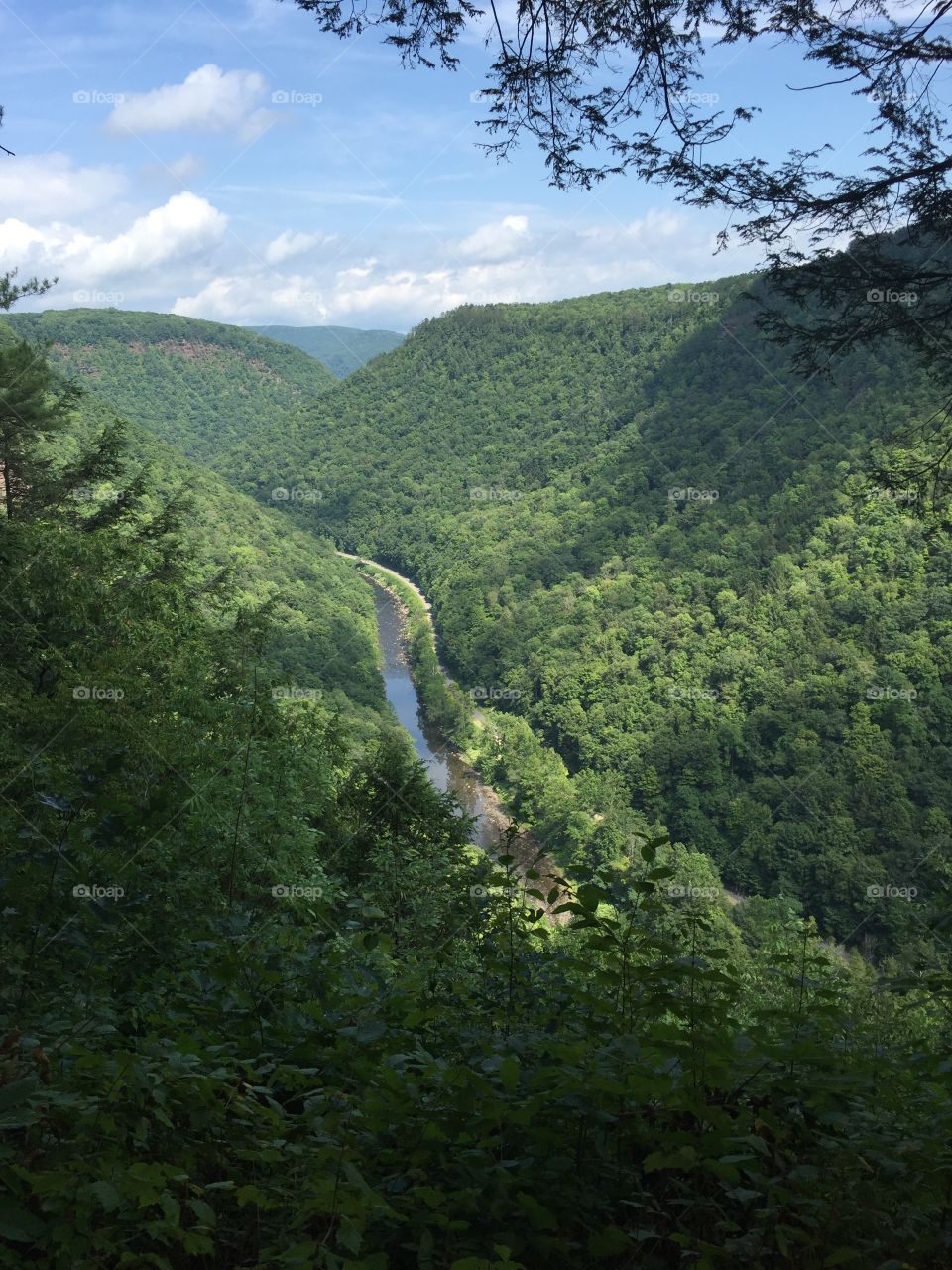 Pennsylvania Grand Canyon 