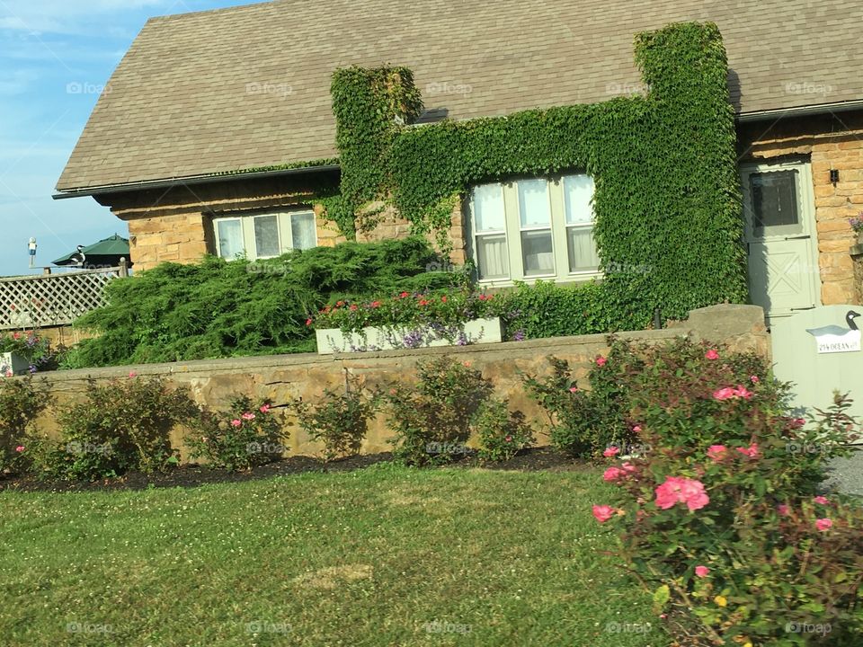 Front view of house 