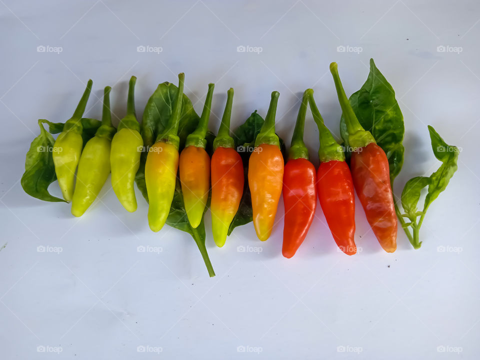 Unripe to ripe fruit