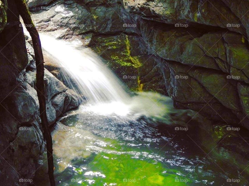 Kopački Rit National Park