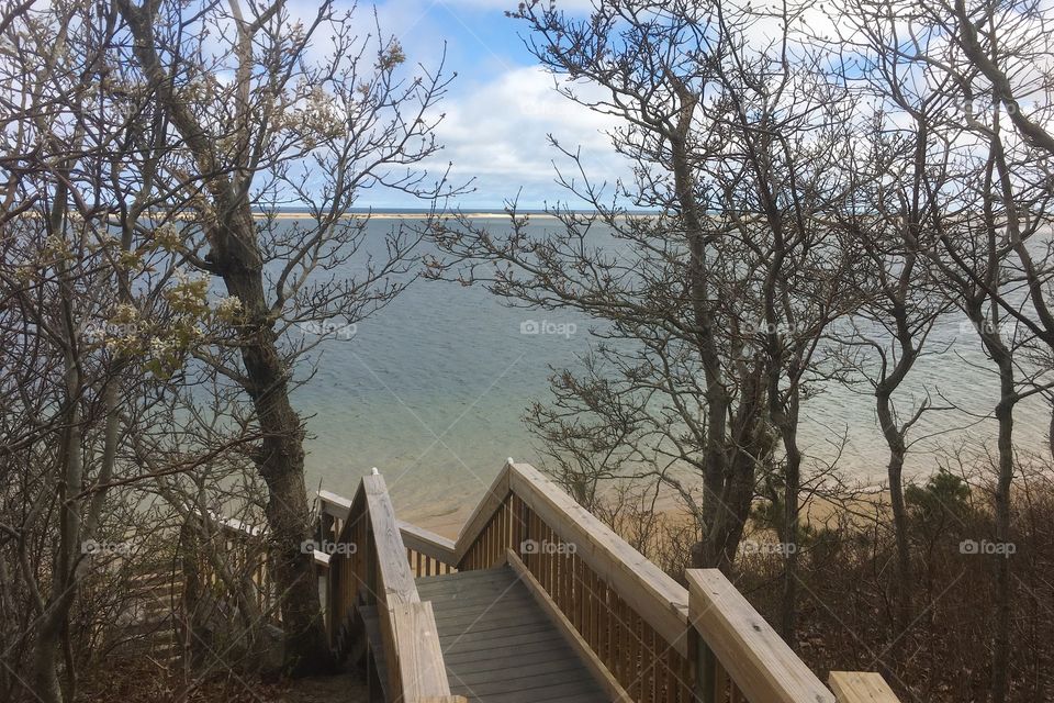 Beautiful day for a hike at the wildlife refuge in Cape Cod. 