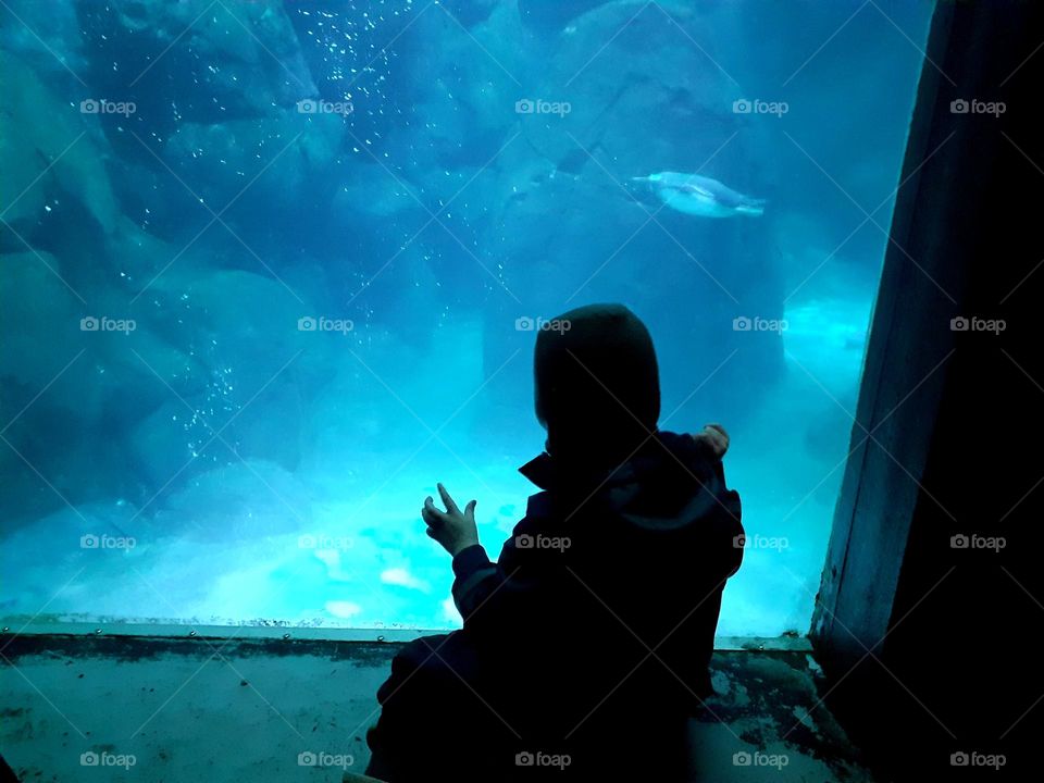 the child by the window