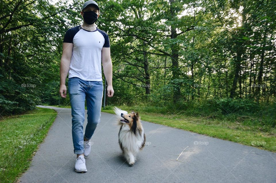 A man walking his Sheltie dog in summer