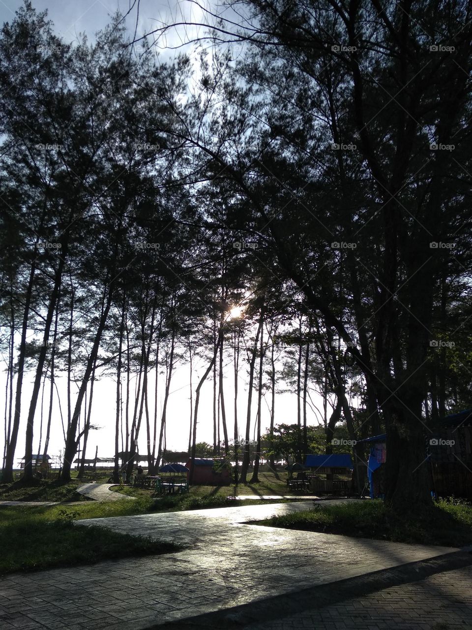 dah lah nyerah gak bakal laku