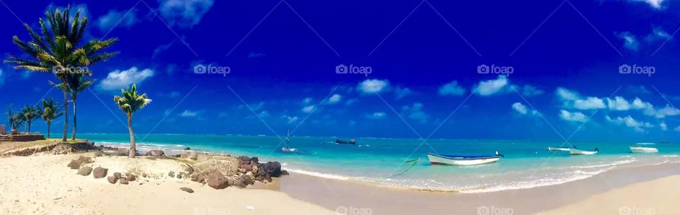 Sea