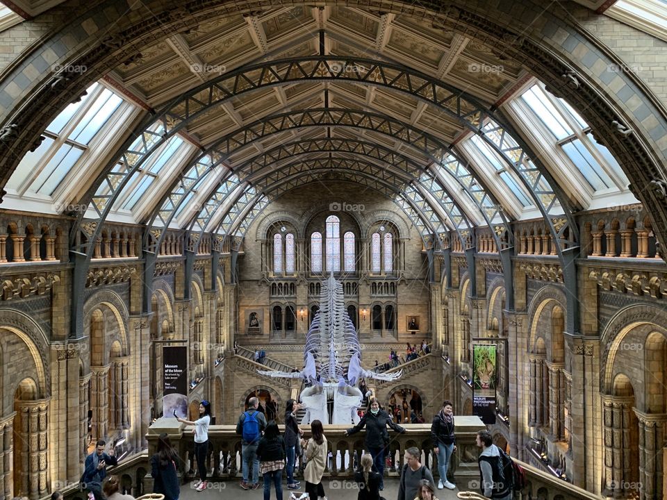 Natural History Museum London Great Hall