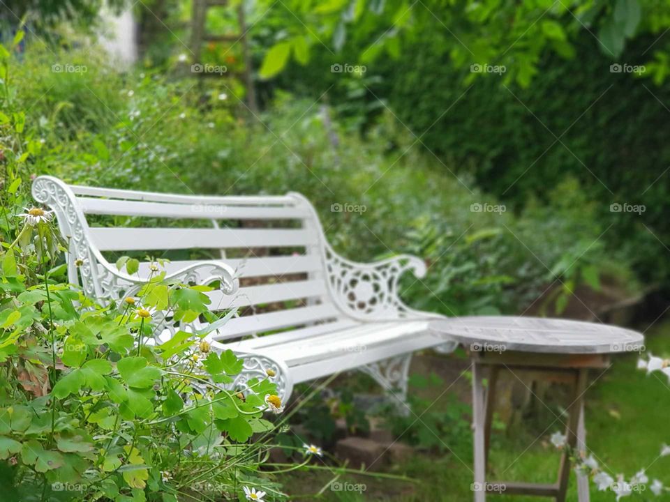a quiet place in the yard