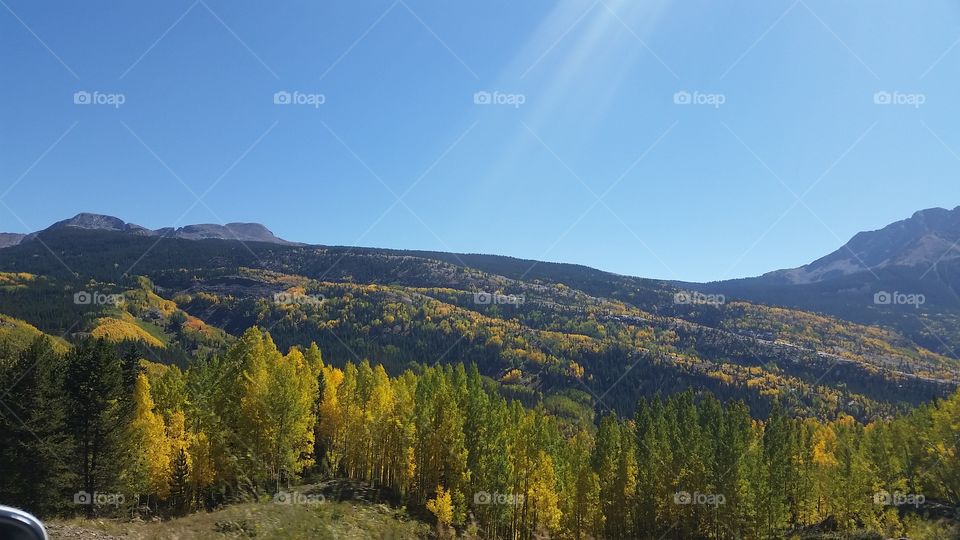 Wood, Fall, No Person, Nature, Landscape