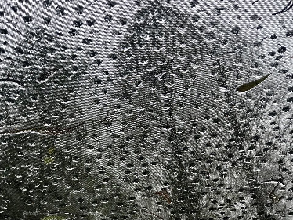 Rain Drops