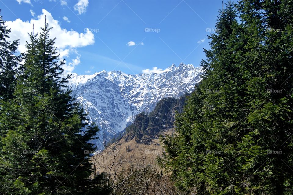 Himachal Pradesh India