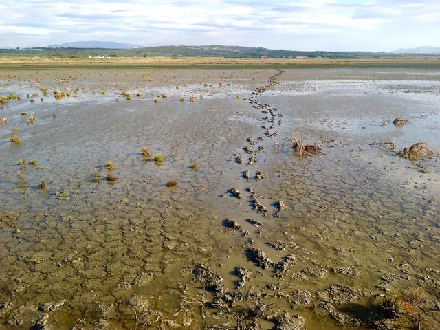 The Footsteps of Infinity