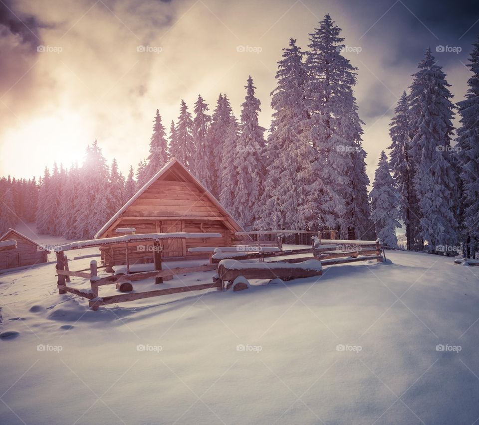 Snowy hut...