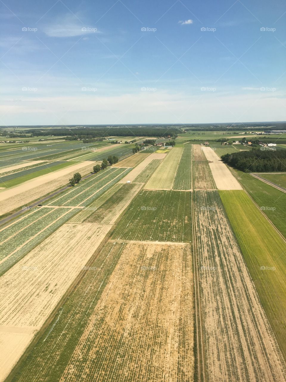 High angle view of agriculture land