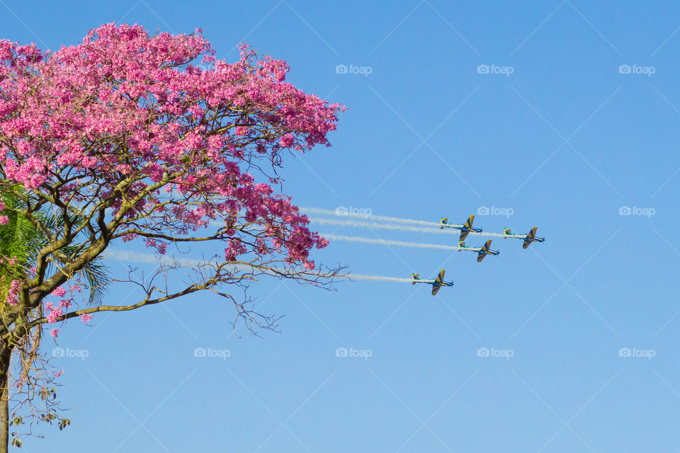Brazilian Air Force Squad "Esquadrilha da Fumaça" 