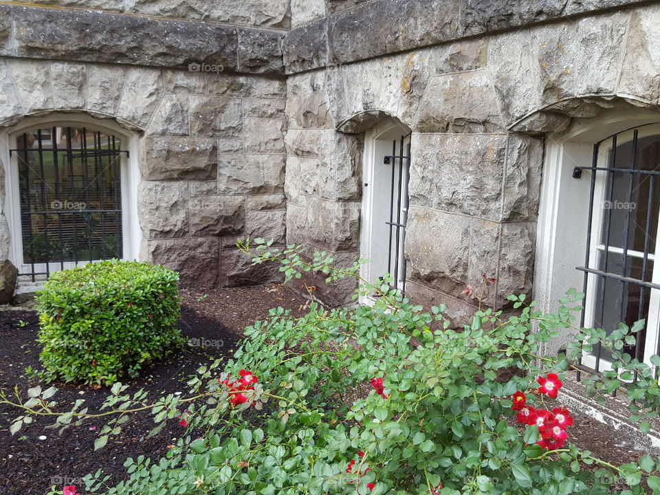 old windows with bars