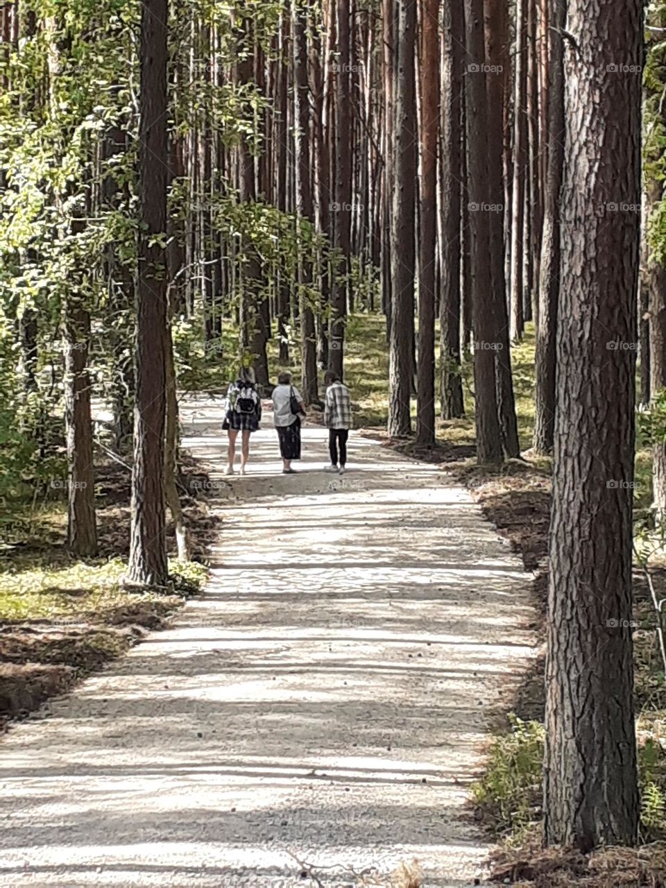 Вместе весело шагать...
