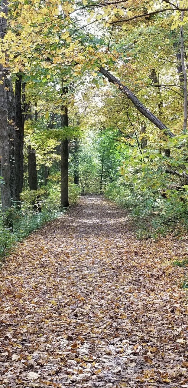 Beautiful hike on a fall day