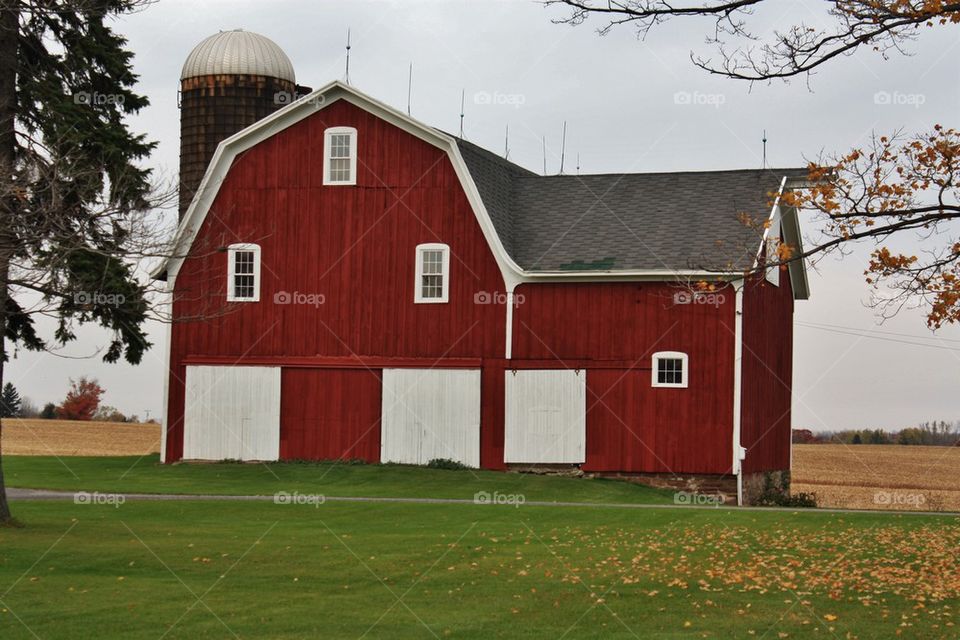 On the Farm