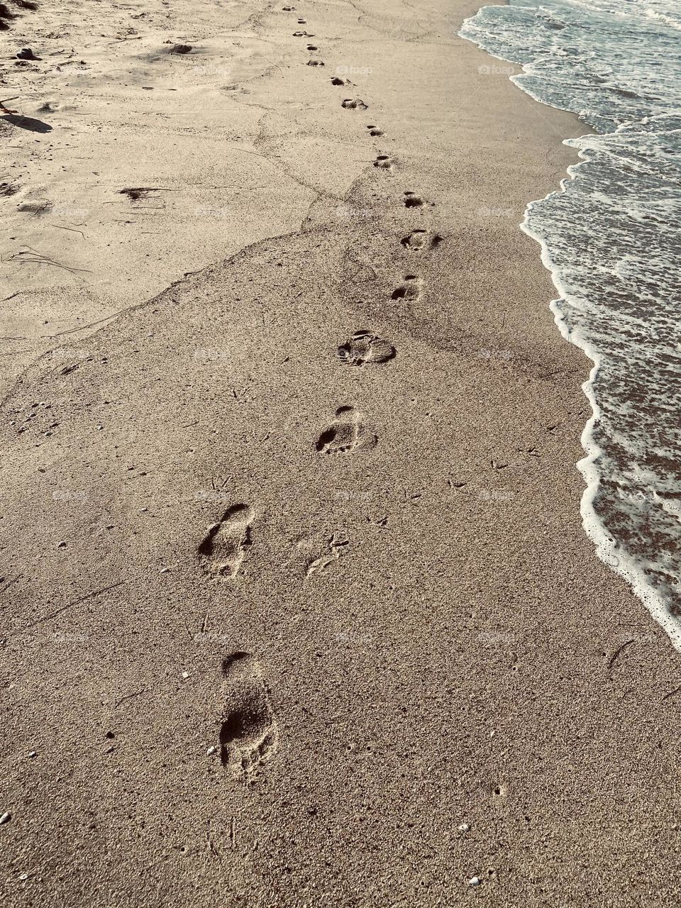 Foot Prints In the Sand