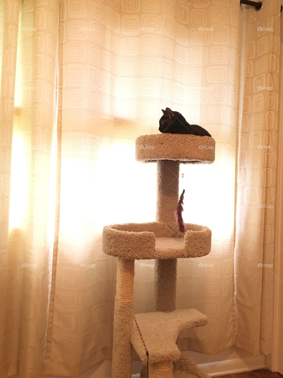 R noting the relaxation