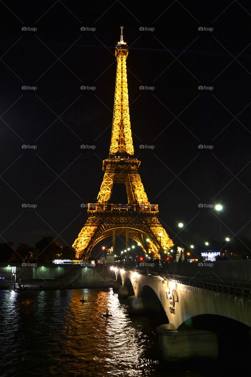 View of the Eiffel Tower at night