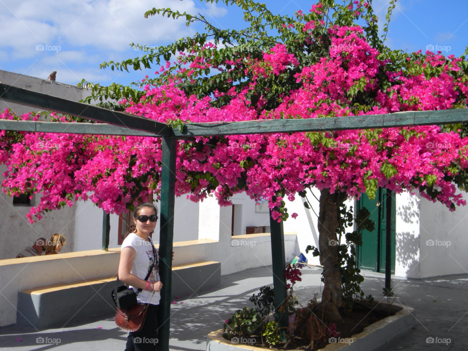 flowers sunshine santorini oia by brunhilda