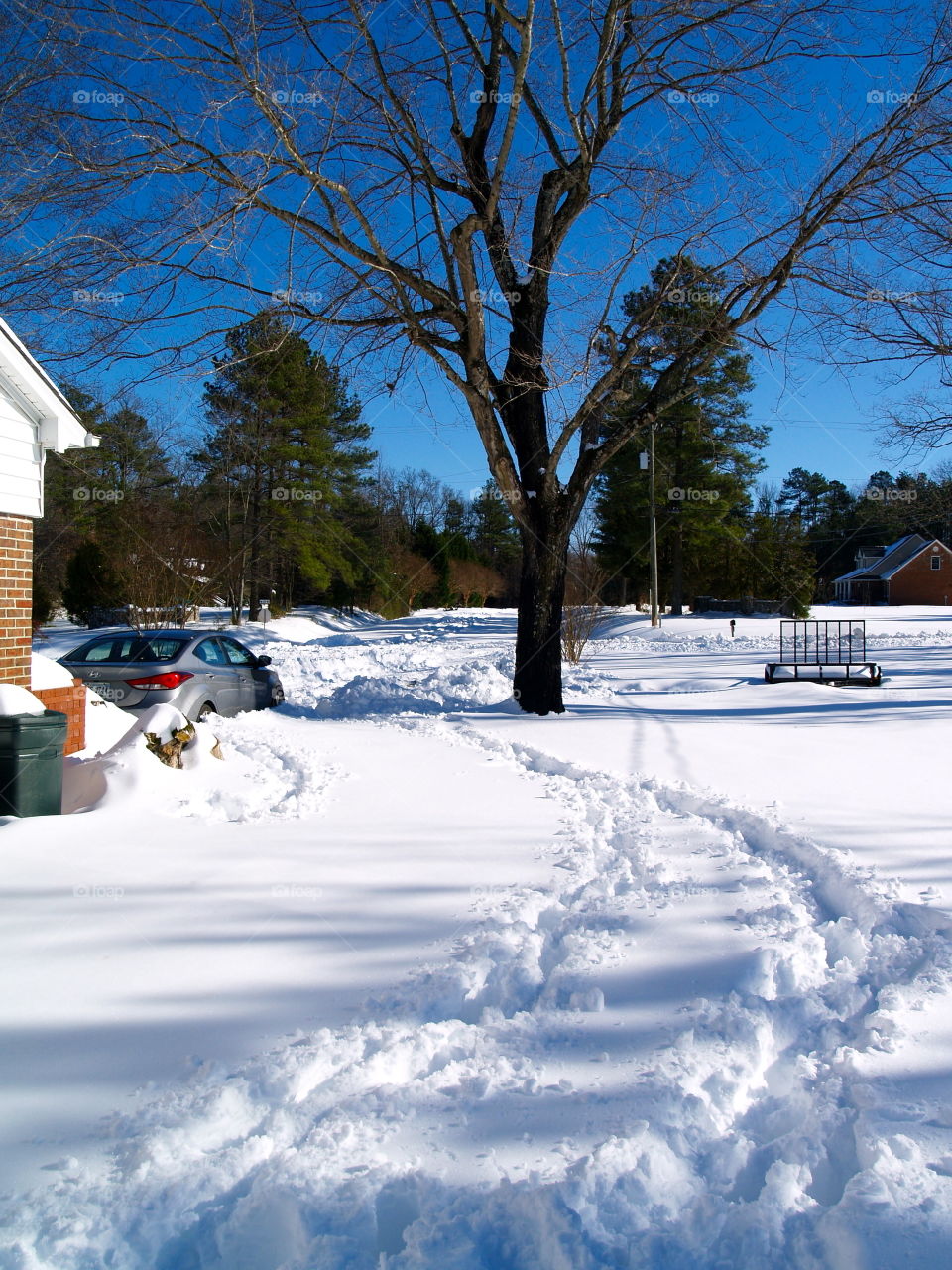 Snow, Winter, Cold, No Person, Landscape