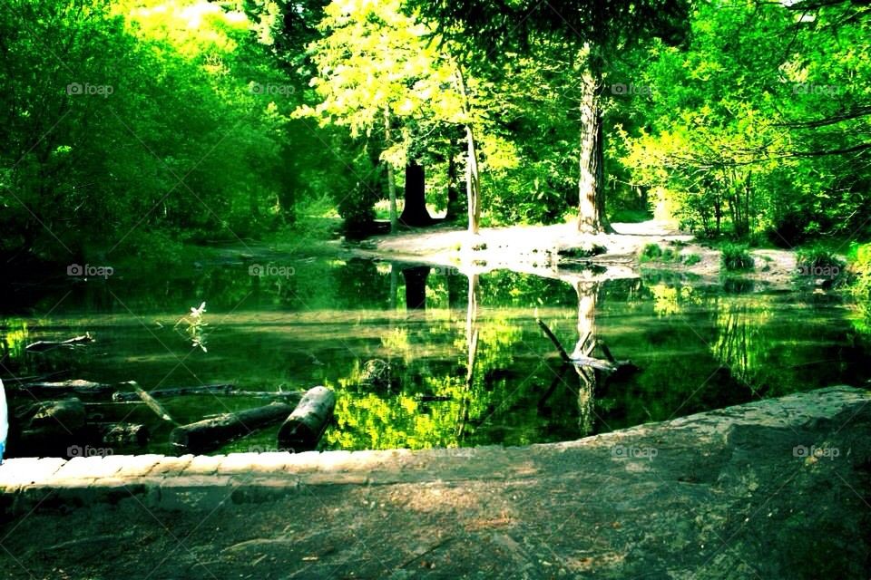 Secret lake by the lake.