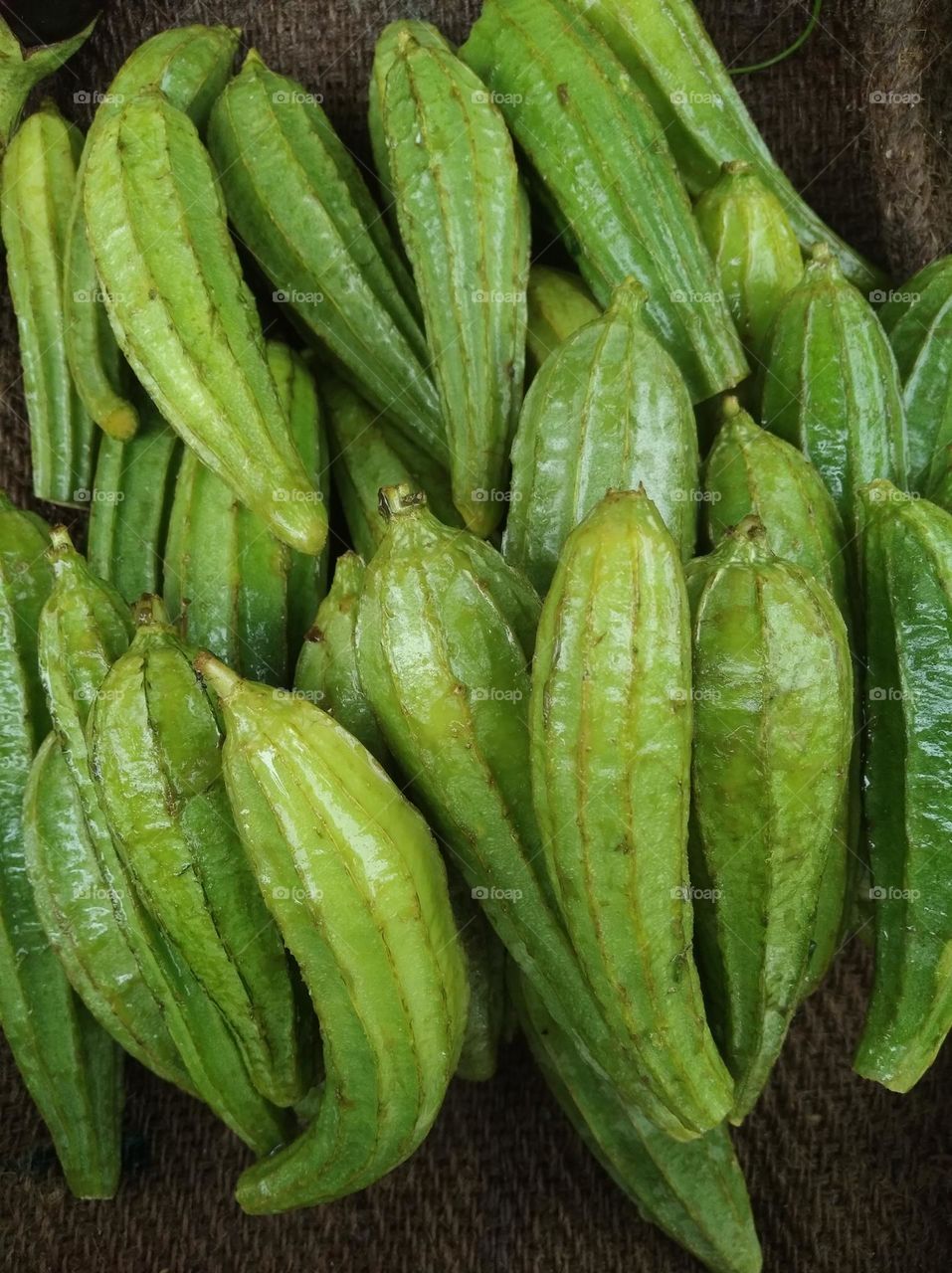 torai, green shurb small size shurb, nutritious vegetables use with other vegitable