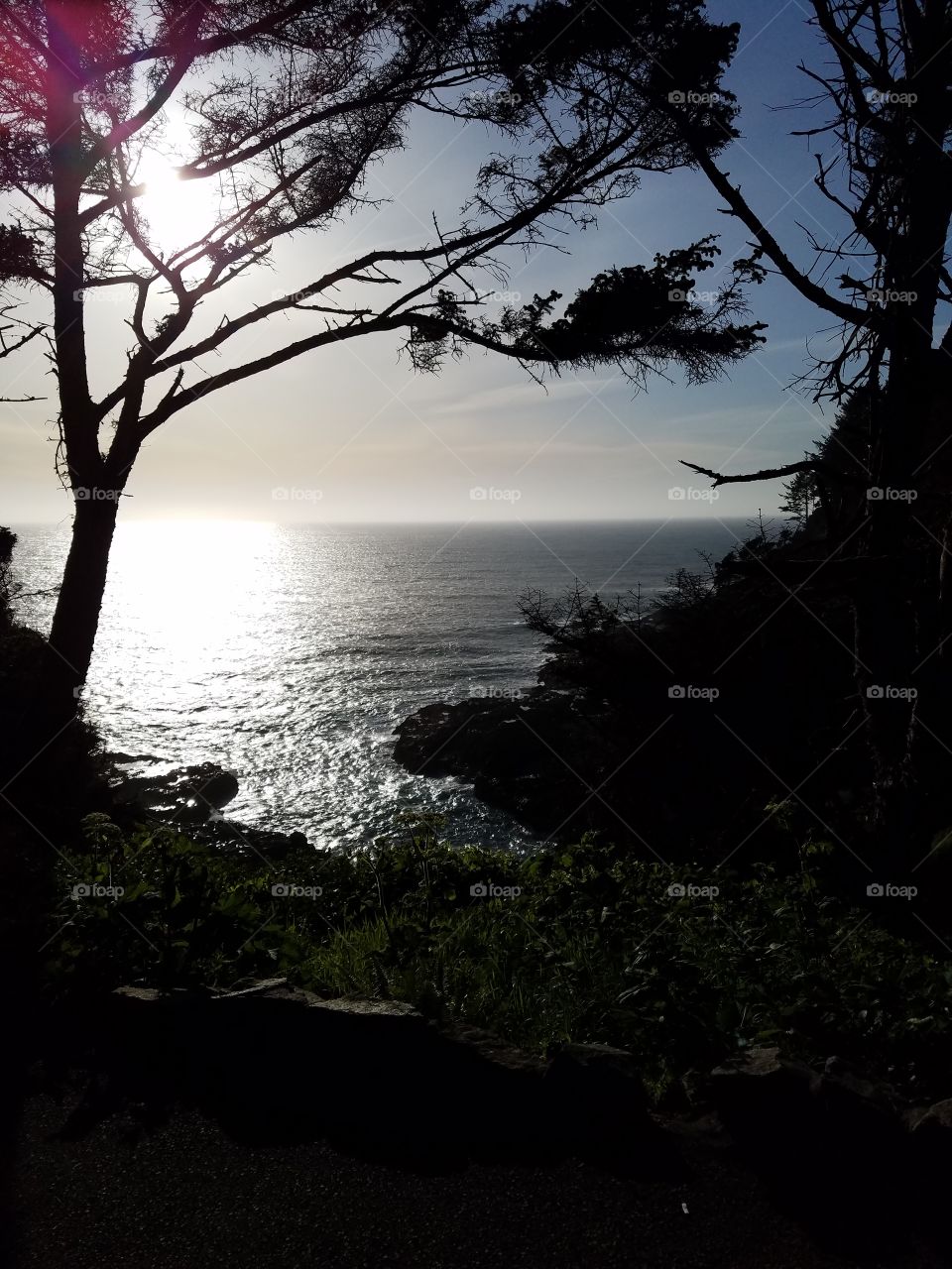 Water, Sunset, Landscape, No Person, Tree