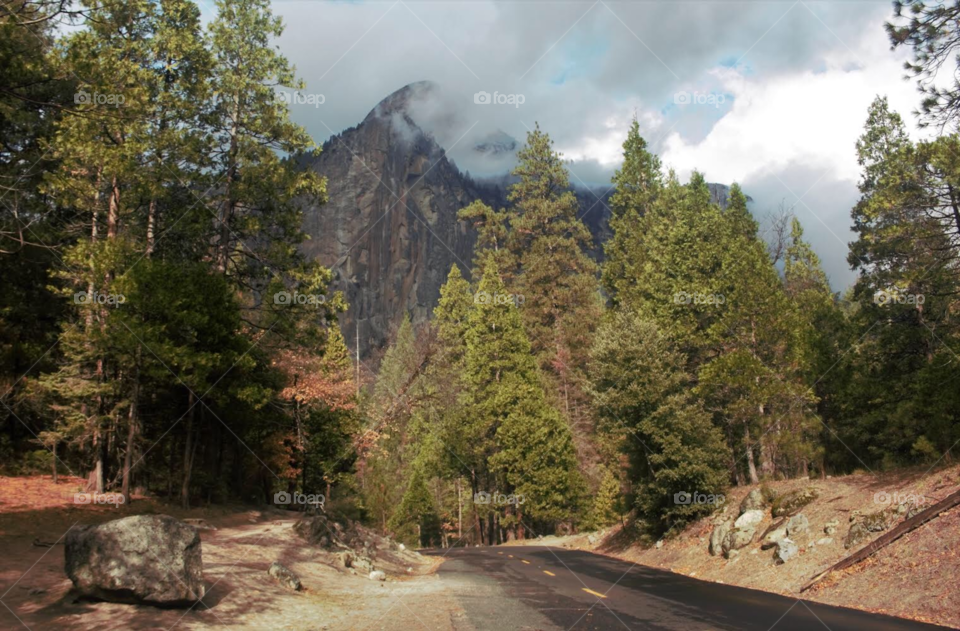 Road through the Sierras near Yosemite