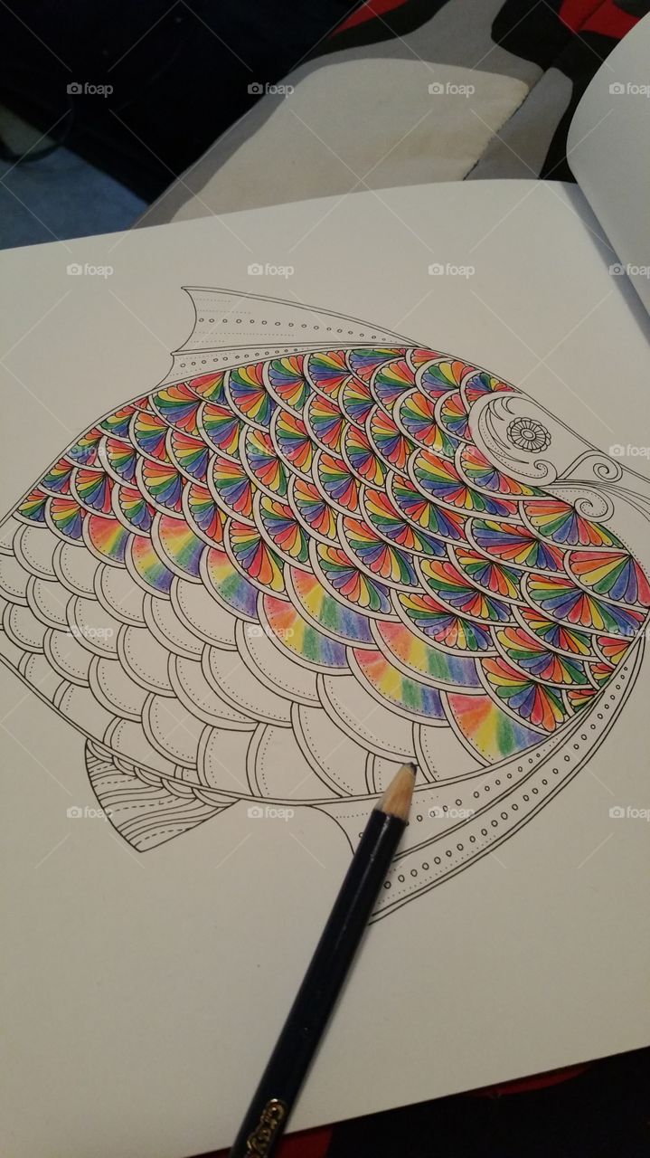 Rainbow Fish- A Work in Progress