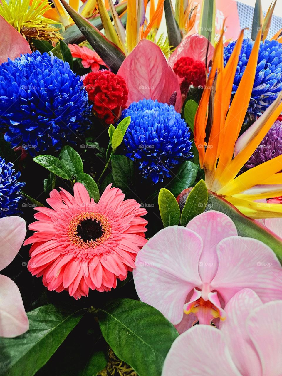 Bright and colorful flowers