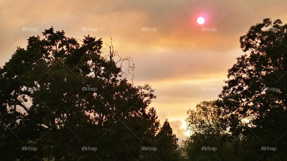 sunset with fire smoke