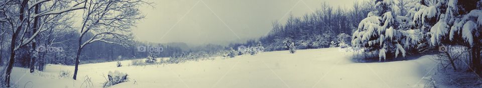 Snowy Field. Taken in a snow storm.