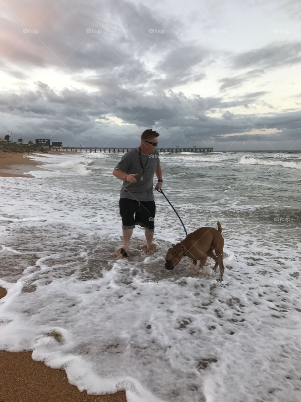 Walking dog on the beach with waves splashing on the dog