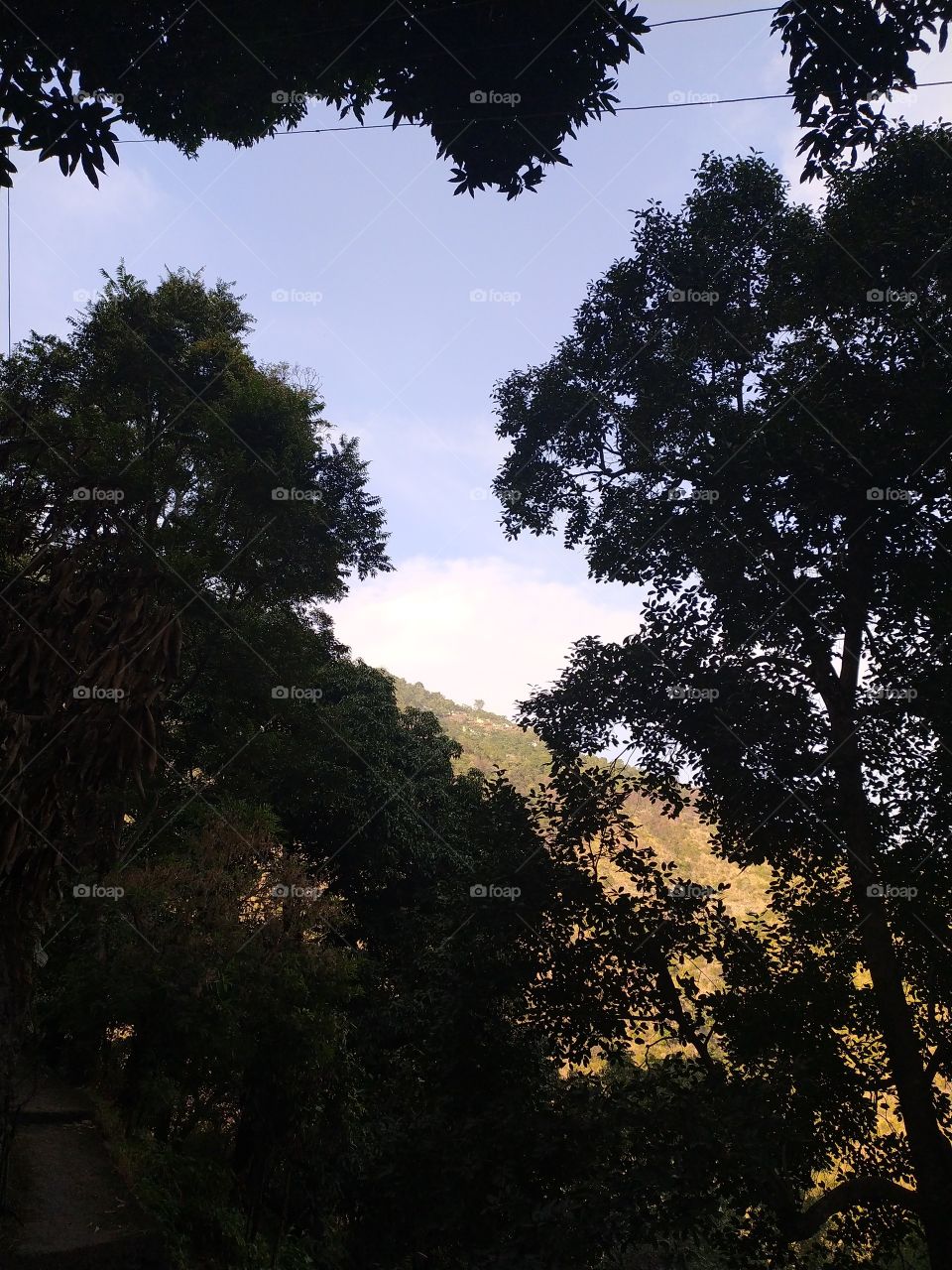 Mid November view of dusk in my village, a refreshing break from the daily routine