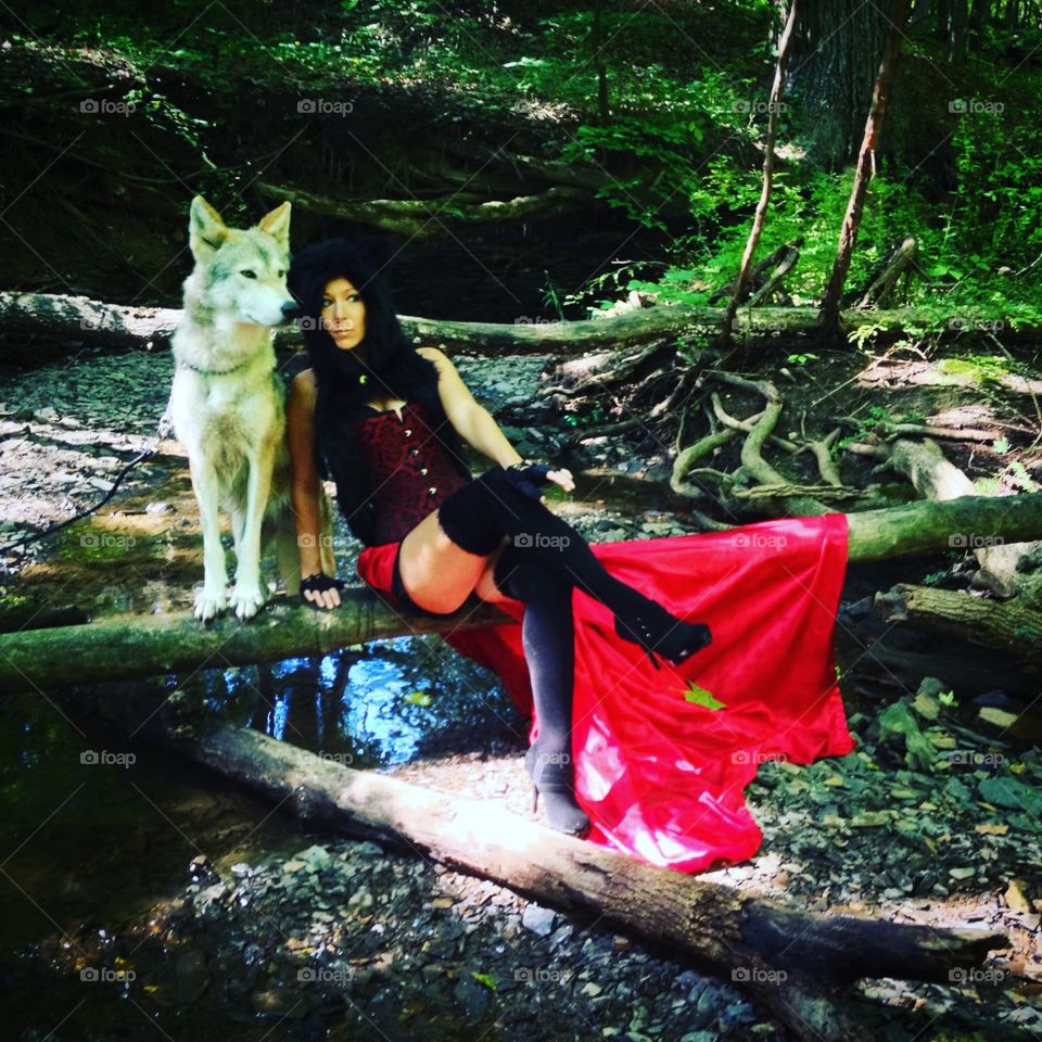 Gothic Little Red With a Real White Wolf in the forest next to a river.