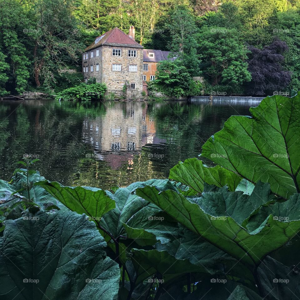 Beautiful Durham Riverside 2019