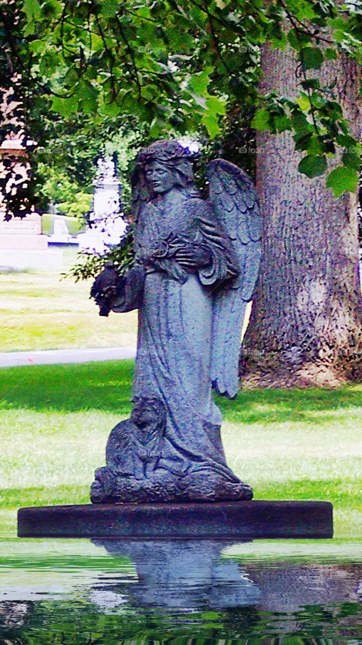 Angel stone statue with cat in a cemetery