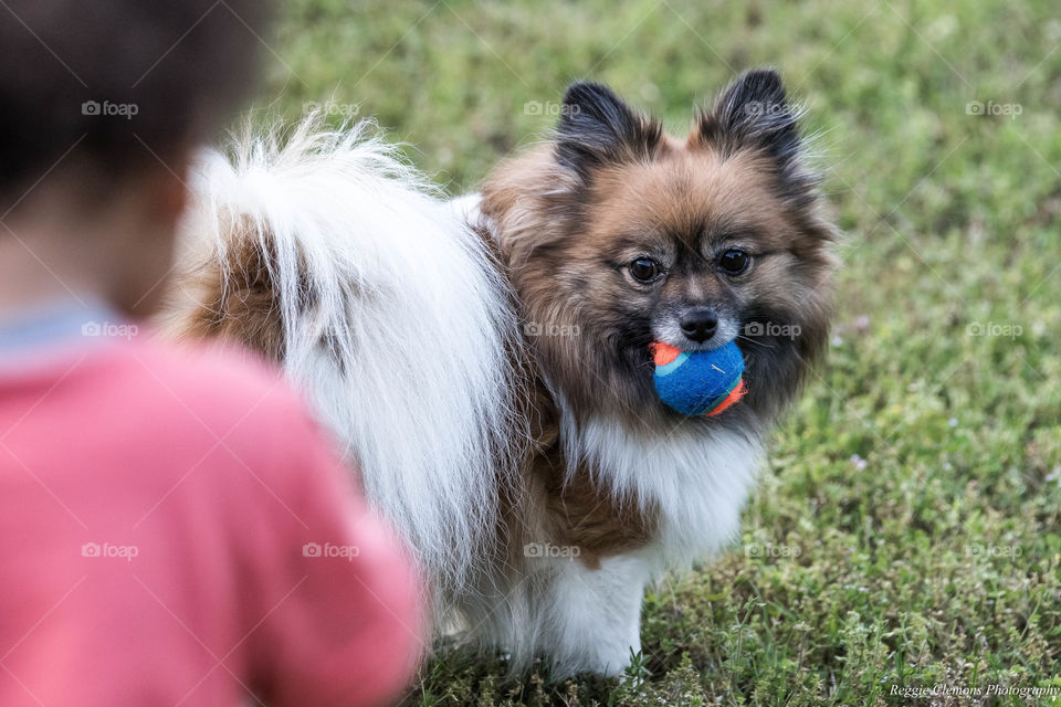 A boy and his pal.... Ava playing with Kye... But who plays with who???