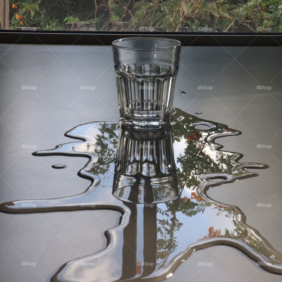 Glass cup and plants reflecting on water