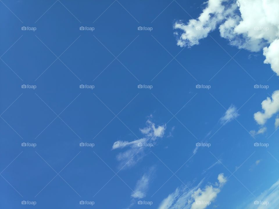 a image of nature view