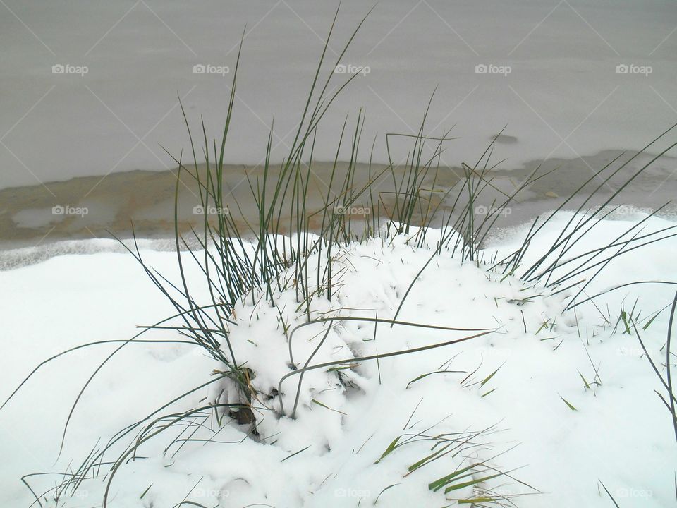 Water, Nature, Desktop, Grass, Landscape