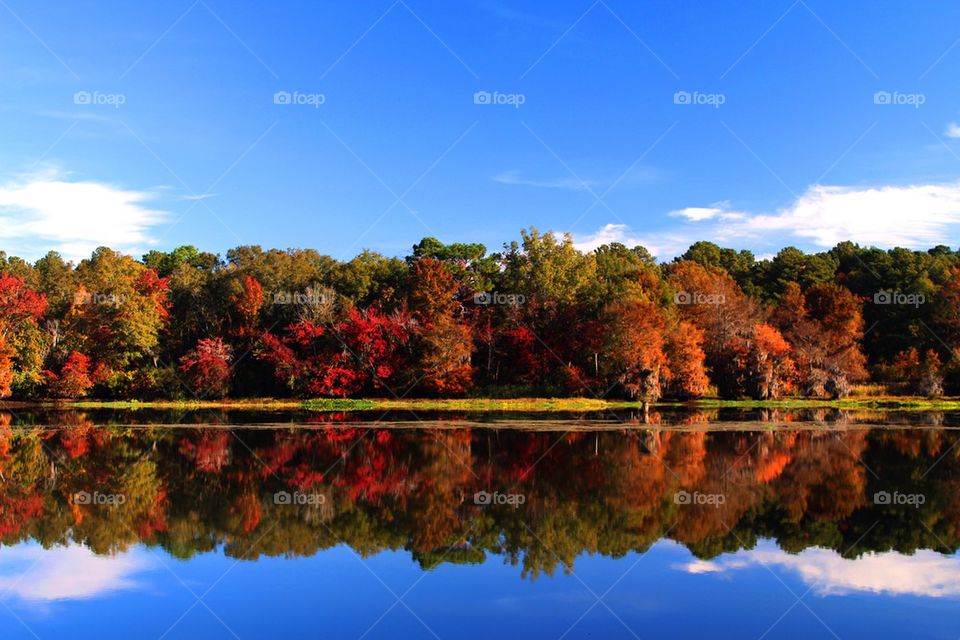 Fall on Lake Blackshear