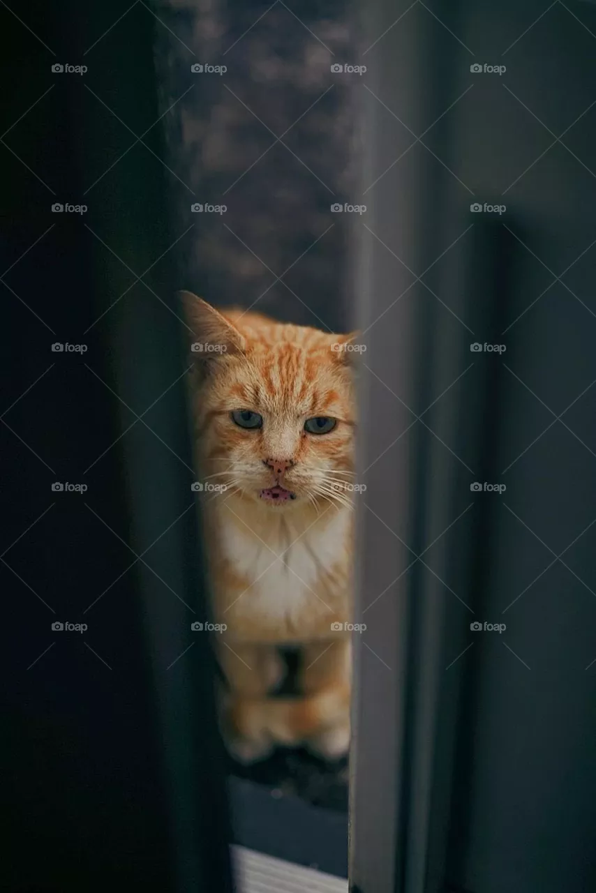 Peeking