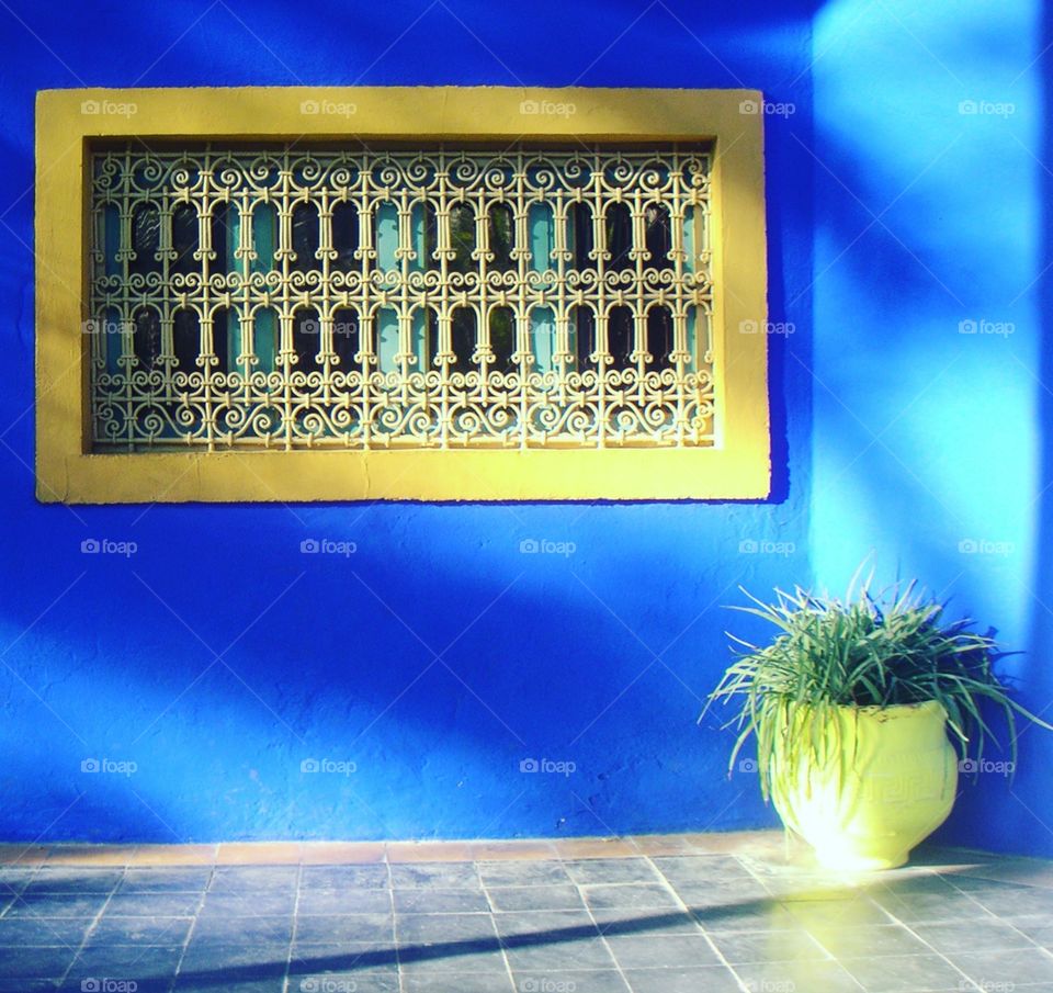 color is life in garden Majorelle