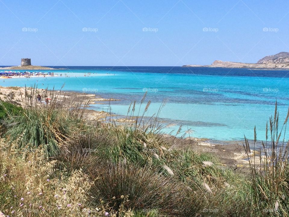 Sardinia coast 